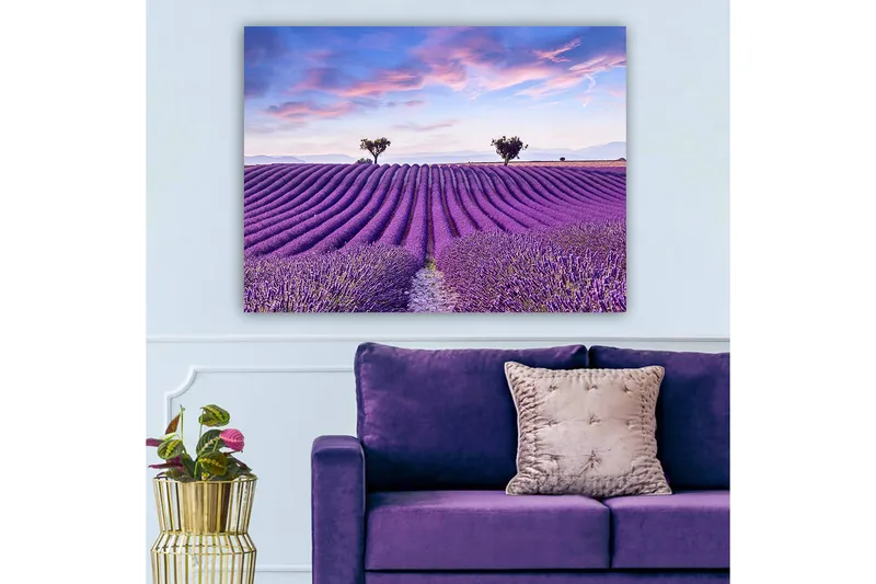 Canvas taulu 70x100 cm - Kaunis laventelipelto pehmeillä, aaltoilevilla laventelinkukkariveillä kirkkaan taivaan alla - Violetti / Vihreä / Sininen - Sisustustuotteet - Taulu & taide - Canvas-taulu