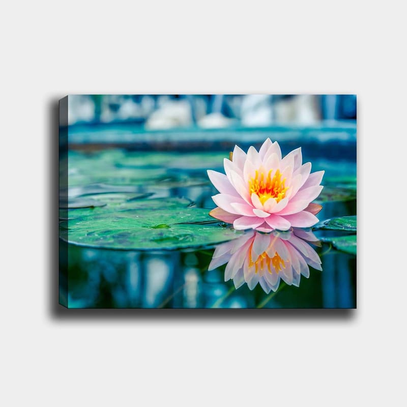 Canvas taulu 70x100 cm - Kaunis lumpeenlehti kelluu rauhallisella järvellä - Vaaleanpunainen / Vihreä / Keltainen - Sisustustuotteet - Taulu & taide - Canvas-taulu