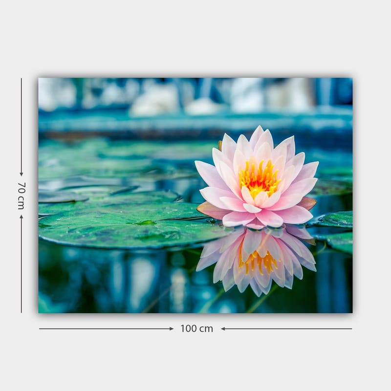 Canvas taulu 70x100 cm - Kaunis lumpeenlehti kelluu rauhallisella järvellä - Vaaleanpunainen / Vihreä / Keltainen - Sisustustuotteet - Taulu & taide - Canvas-taulu