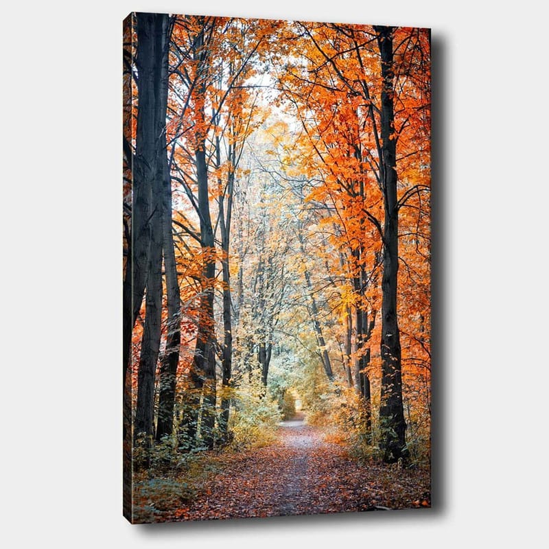 Canvas taulu 70x100 cm - Kaunis metsäpolku syksyn värien ja kultaisten ja oranssien lehtien ympäröimänä - Oranssi / Kulta / Vihreä - Sisustustuotteet - Taulu & taide - Canvas-taulu