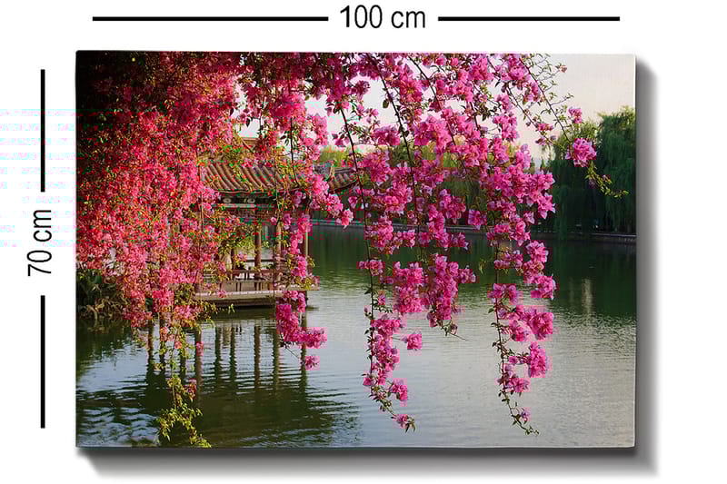 Canvas taulu 70x100 cm - Kaunis näkymä kukkivasta bougainvilleasta tyynen järven yllä ja taustalla perinteinen paviljonki - Vaaleanpunainen / Vihreä / Siniharmaa - Sisustustuotteet - Taulu & taide - Canvas-taulu