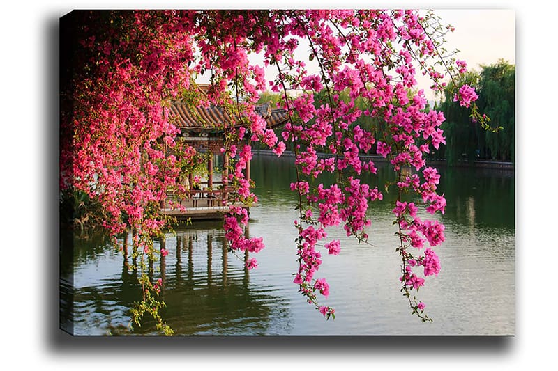 Canvas taulu 70x100 cm - Kaunis näkymä kukkivasta bougainvilleasta tyynen järven yllä ja taustalla perinteinen paviljonki, Vaaleanpunainen / Vihreä / Siniharmaa