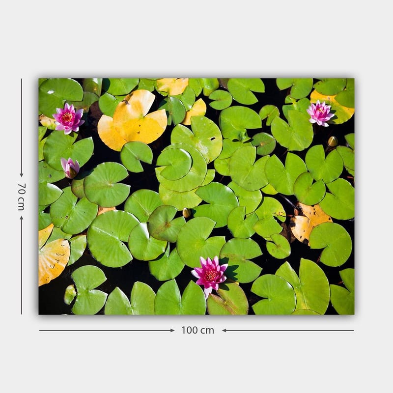 Canvas taulu 70x100 cm - Kaunis näkymä lumpeista kellumassa peilimäisellä veden pinnalla vihreiden lumpeenlehtien ympäröimänä - Vihreä / Vaaleanpunainen / Keltainen - Sisustustuotteet - Taulu & taide - Canvas-taulu