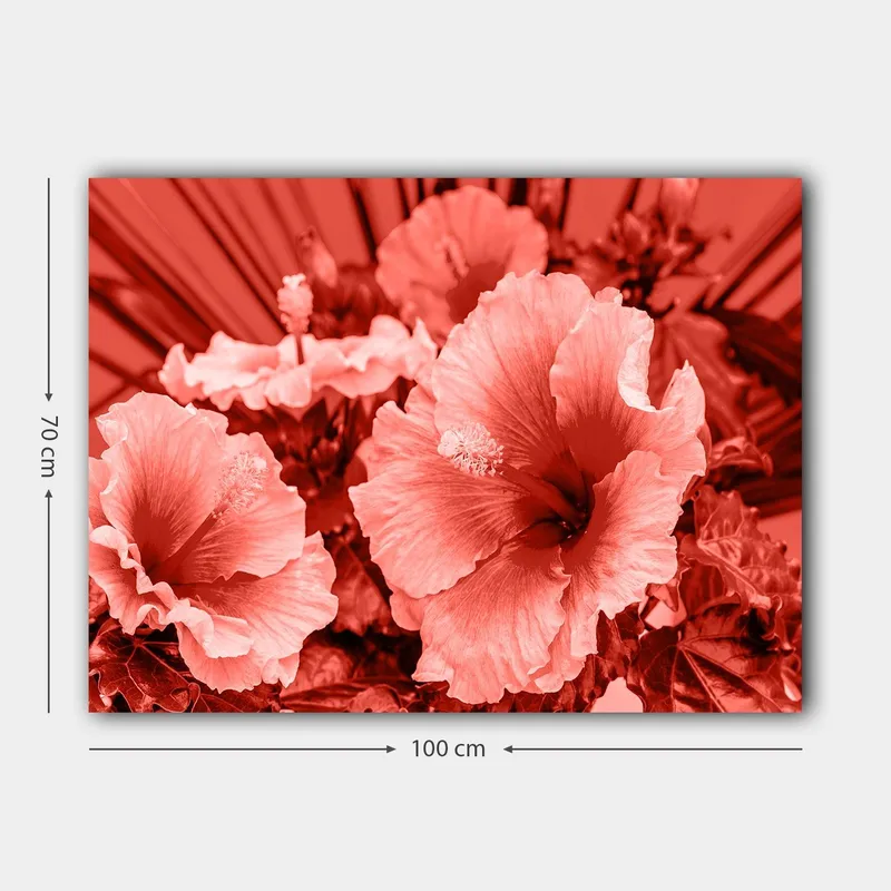 Canvas taulu 70x100 cm - Kaunis sommitelma hibiskuskukkia eri punaisen sävyissä - Punainen / Vaaleanpunainen - Sisustustuotteet - Taulu & taide - Canvas-taulu