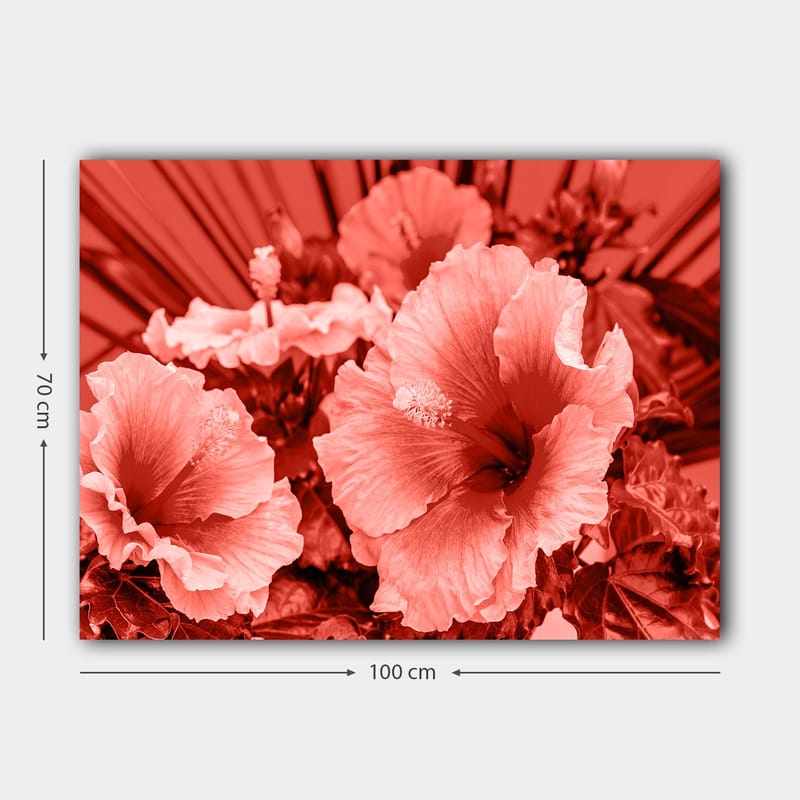Canvas taulu 70x100 cm - Kaunis sommitelma hibiskuskukkia eri punaisen sävyissä - Punainen / Vaaleanpunainen - Sisustustuotteet - Taulu & taide - Canvas-taulu