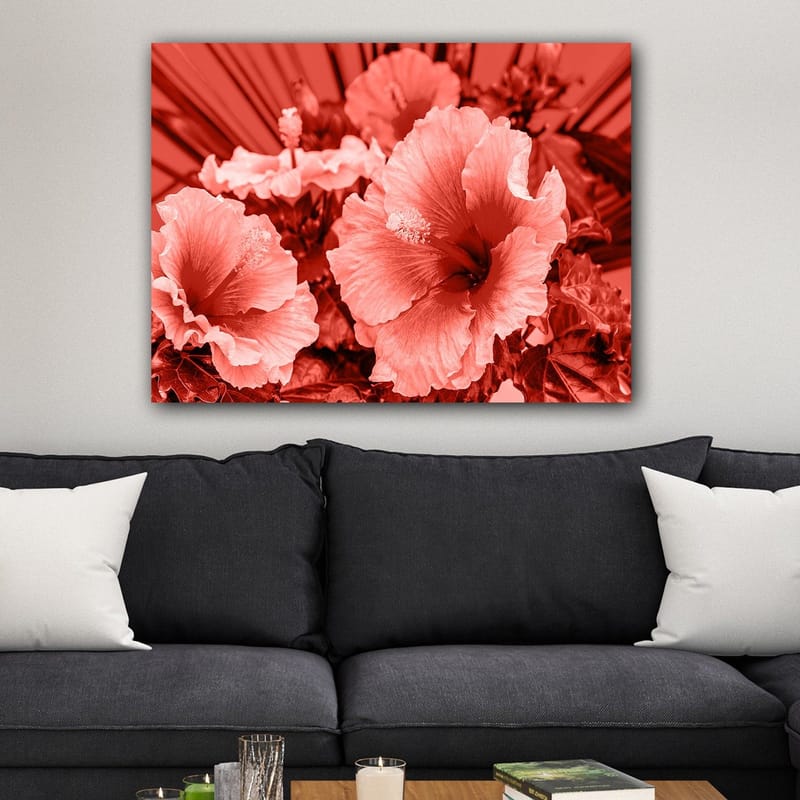 Canvas taulu 70x100 cm - Kaunis sommitelma hibiskuskukkia eri punaisen sävyissä - Punainen / Vaaleanpunainen - Sisustustuotteet - Taulu & taide - Canvas-taulu