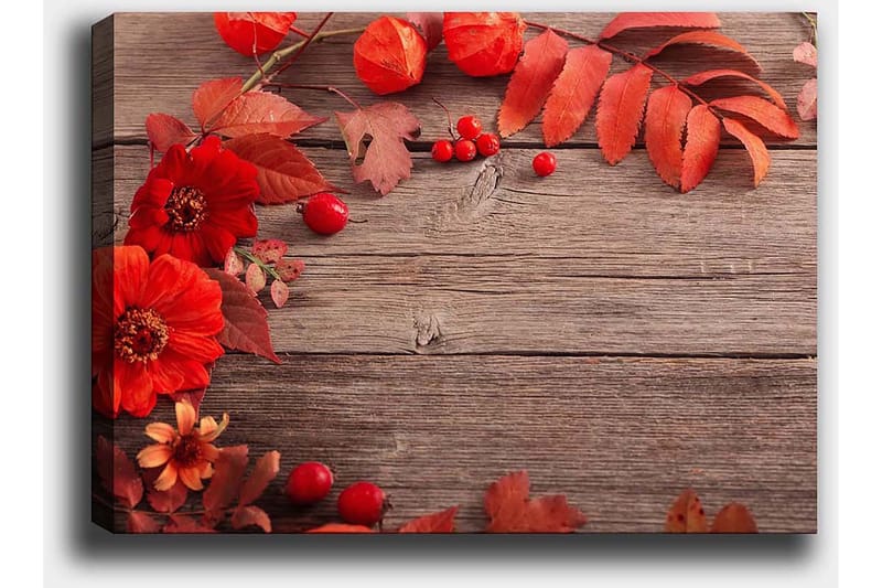 Canvas taulu 70x100 cm - Kaunis sommitelma punaisista kukista ja syksynlehdistä puista taustaa vasten - Punainen / Oranssi / Ruskea - Sisustustuotteet - Taulu & taide - Canvas-taulu