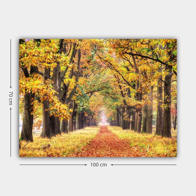 Canvas taulu 70x100 cm - Kaunis syksyn väristen puiden ympäröimä katu, joka johtaa kohti kirkkaampaa horisonttia - Kultaoranssi / Vihreä / Ruskea - Sisustustuotteet - Taulu & taide - Canvas-taulu
