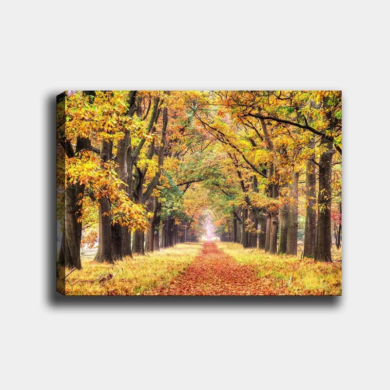 Canvas taulu 70x100 cm - Kaunis syksyn väristen puiden ympäröimä katu, joka johtaa kohti kirkkaampaa horisonttia, Kultaoranssi / Vihreä / Ruskea