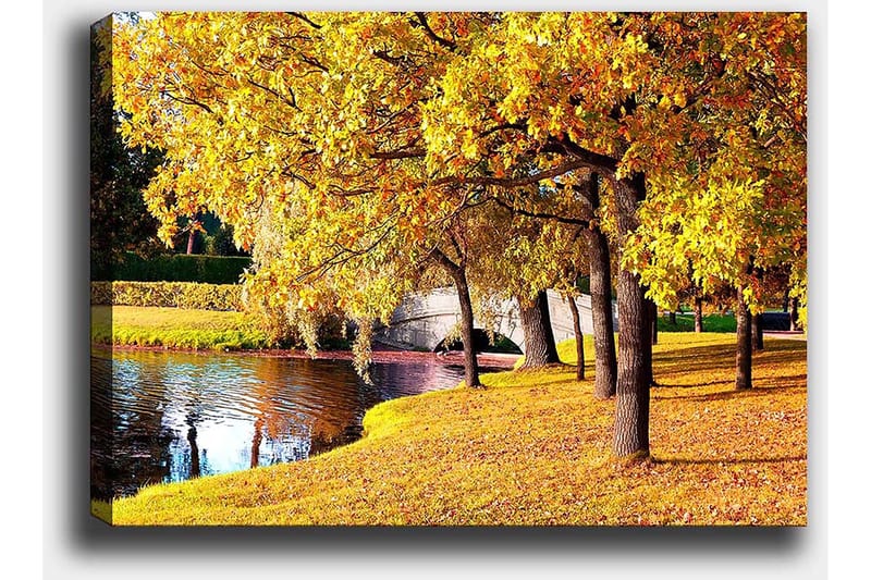Canvas taulu 70x100 cm - Kaunis syysmaisema, jossa kultaiset puut heijastuvat tyynessä järvessä - Kulta / Vihreä / Ruskea - Sisustustuotteet - Taulu & taide - Canvas-taulu