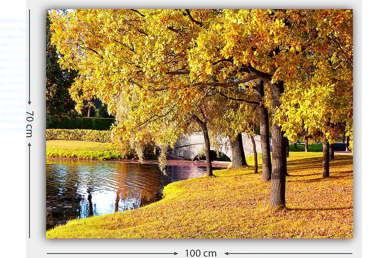 Canvas taulu 70x100 cm - Kaunis syysmaisema, jossa kultaiset puut heijastuvat tyynessä järvessä - Kulta / Vihreä / Ruskea - Sisustustuotteet - Taulu & taide - Canvas-taulu