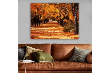 Canvas taulu 70x100 cm - Kaunis syysmaisema, jossa voimakkaan oranssin ja keltaisen sävyiset puut luovat kutsuvan, pudonneiden lehtien peittämän kävelytien. - Oranssi / Keltainen / Ruskea - Sisustustuotteet - Taulu & taide - Canvas-taulu
