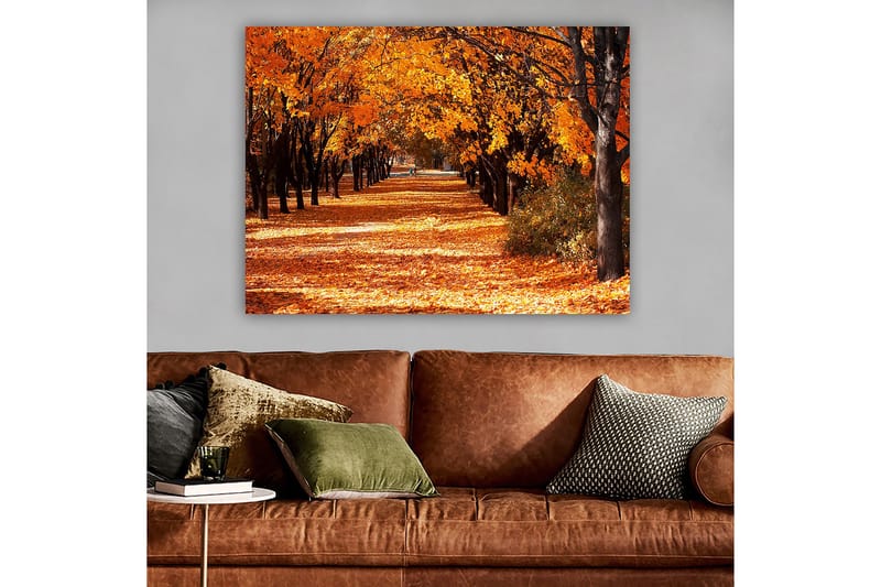 Canvas taulu 70x100 cm - Kaunis syysmaisema, jossa voimakkaan oranssin ja keltaisen sävyiset puut luovat kutsuvan, pudonneiden lehtien peittämän kävelytien. - Oranssi / Keltainen / Ruskea - Sisustustuotteet - Taulu & taide - Canvas-taulu