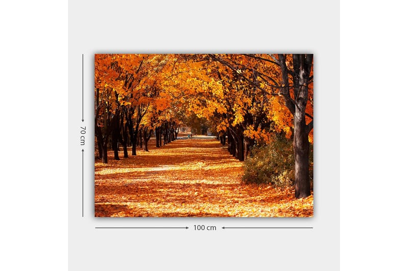 Canvas taulu 70x100 cm - Kaunis syysmaisema, jossa voimakkaan oranssin ja keltaisen sävyiset puut luovat kutsuvan, pudonneiden lehtien peittämän kävelytien. - Oranssi / Keltainen / Ruskea - Sisustustuotteet - Taulu & taide - Canvas-taulu