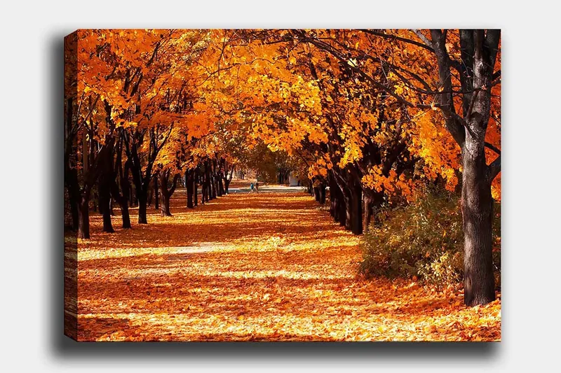 Canvas taulu 70x100 cm - Kaunis syysmaisema, jossa voimakkaan oranssin ja keltaisen sävyiset puut luovat kutsuvan, pudonneiden lehtien peittämän kävelytien., Oranssi / Keltainen / Ruskea