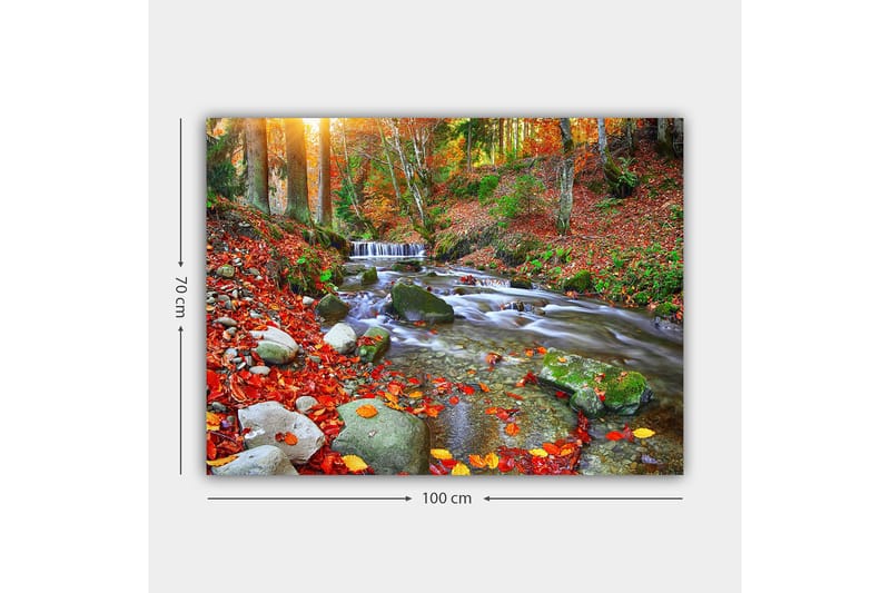 Canvas taulu 70x100 cm - Kaunis syysmaisema väreilevällä purolla, jota ympäröivät värikkäät syksyn lehdet - Punainen / Vihreä / Ruskea - Sisustustuotteet - Taulu & taide - Canvas-taulu