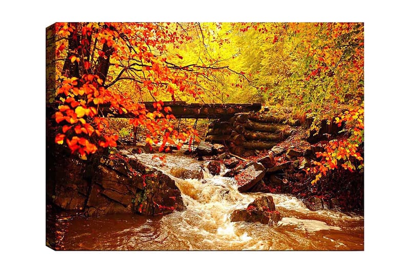 Canvas taulu 70x100 cm - Kaunis syysmaisema väreilevällä purolla, jota ympäröivät värikkäät puut ja lämpimän sävyiset lehdet - Oranssi / Keltainen / Ruskea - Sisustustuotteet - Taulu & taide - Canvas-taulu