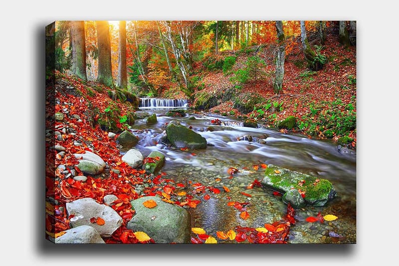 Canvas taulu 70x100 cm - Kaunis syysmaisema väreilevällä purolla, jota ympäröivät värikkäät syksyn lehdet, Punainen / Vihreä / Ruskea