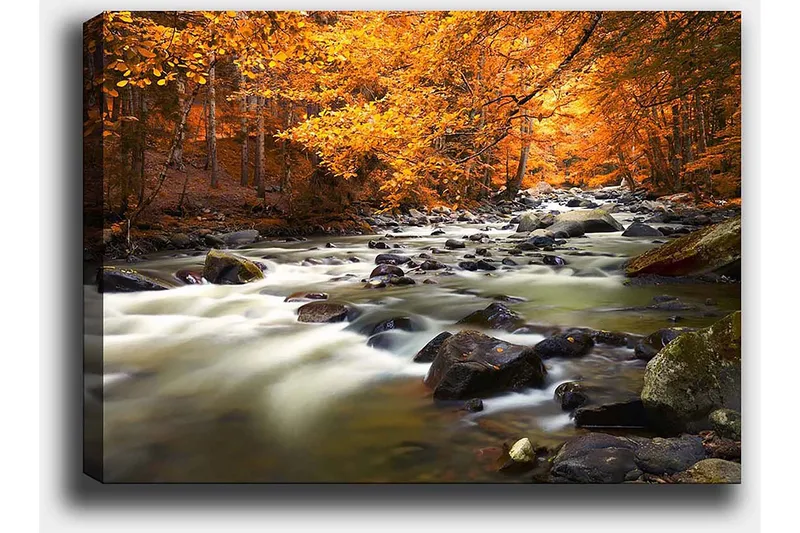 Canvas taulu 70x100 cm - Kaunis syysmaisema väreilevällä purolla, jota ympäröi kultainen ja oranssi lehdistö - Kultainen / Oranssi / Vihreä - Sisustustuotteet - Taulu & taide - Canvas-taulu