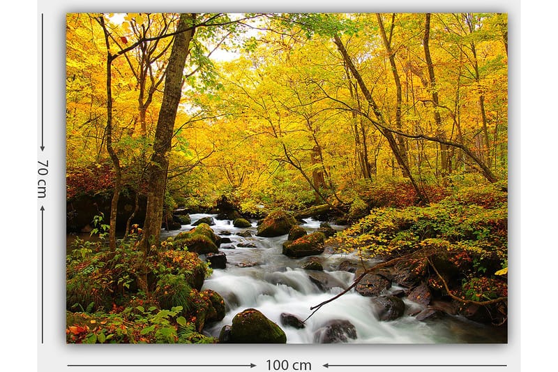 Canvas taulu 70x100 cm - Kaunis syysmaisema väreilevällä purolla, jota ympäröivät kultaiset ja punaiset puut - Kullankeltainen / Tummanvihreä / Punainen - Sisustustuotteet - Taulu & taide - Canvas-taulu