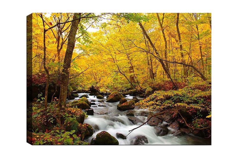 Canvas taulu 70x100 cm - Kaunis syysmaisema väreilevällä purolla, jota ympäröivät kultaiset ja punaiset puut, Kullankeltainen / Tummanvihreä / Punainen