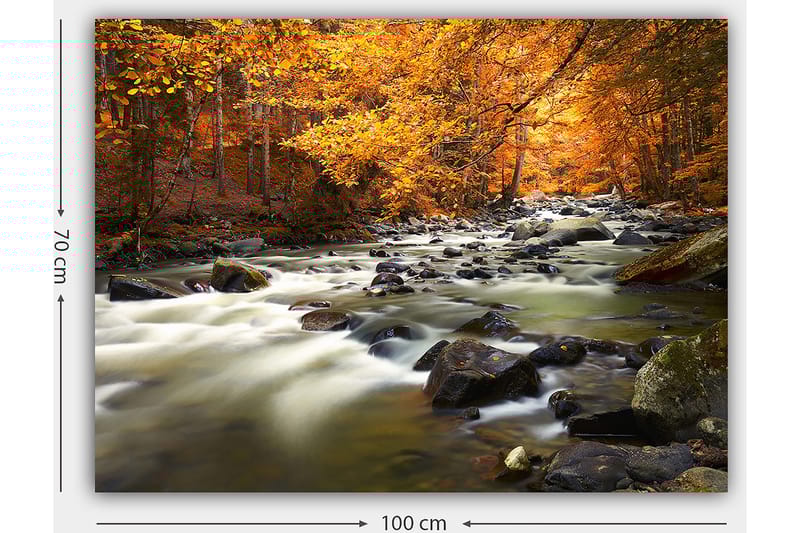 Canvas taulu 70x100 cm - Kaunis syysmaisema väreilevällä purolla, jota ympäröi kultainen ja oranssi lehdistö - Kultainen / Oranssi / Vihreä - Sisustustuotteet - Taulu & taide - Canvas-taulu