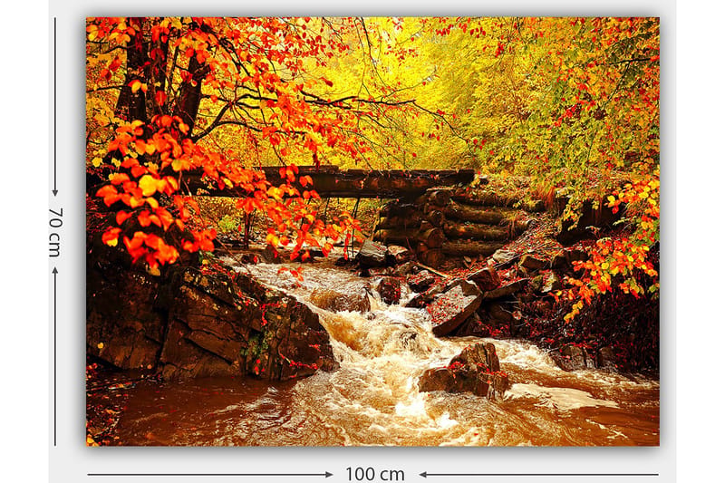 Canvas taulu 70x100 cm - Kaunis syysmaisema väreilevällä purolla, jota ympäröivät värikkäät puut ja lämpimän sävyiset lehdet - Oranssi / Keltainen / Ruskea - Sisustustuotteet - Taulu & taide - Canvas-taulu