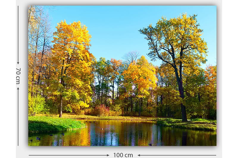 Canvas taulu 70x100 cm - Kaunis syysmaisema värikkäillä puilla ja peilimäisellä järvellä - Kullankeltainen / Vihreä / Sininen - Sisustustuotteet - Taulu & taide - Canvas-taulu