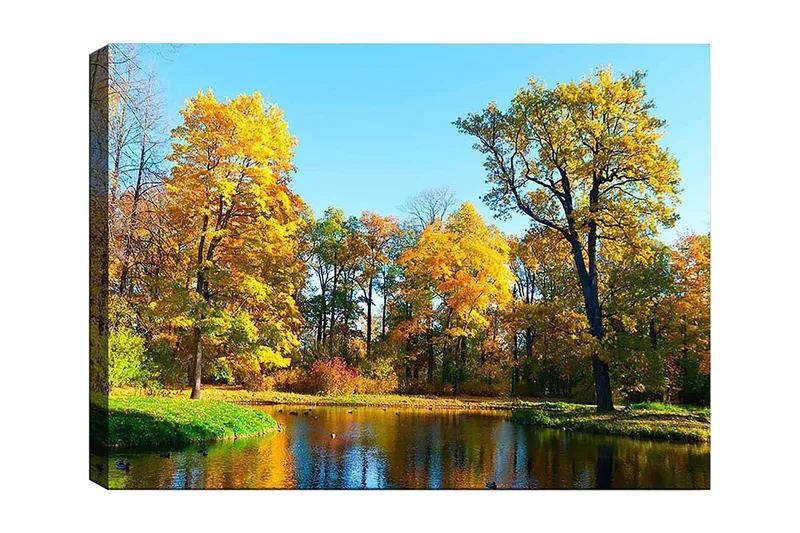 Canvas taulu 70x100 cm - Kaunis syysmaisema värikkäillä puilla ja peilimäisellä järvellä, Kullankeltainen / Vihreä / Sininen