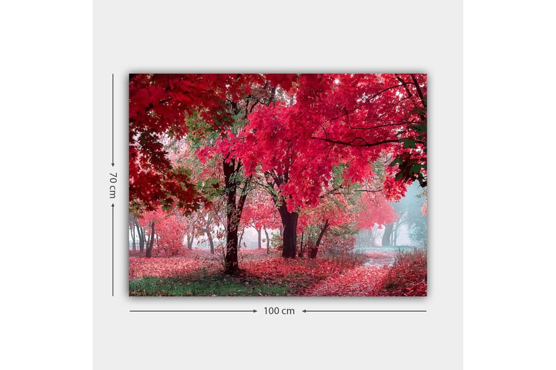 Canvas taulu 70x100 cm - Kaunis syysmaisema punaisilla ja oransseilla lehdillä peittäen puita ja maan - Punainen / Oranssi / Vihreä - Sisustustuotteet - Taulu & taide - Canvas-taulu