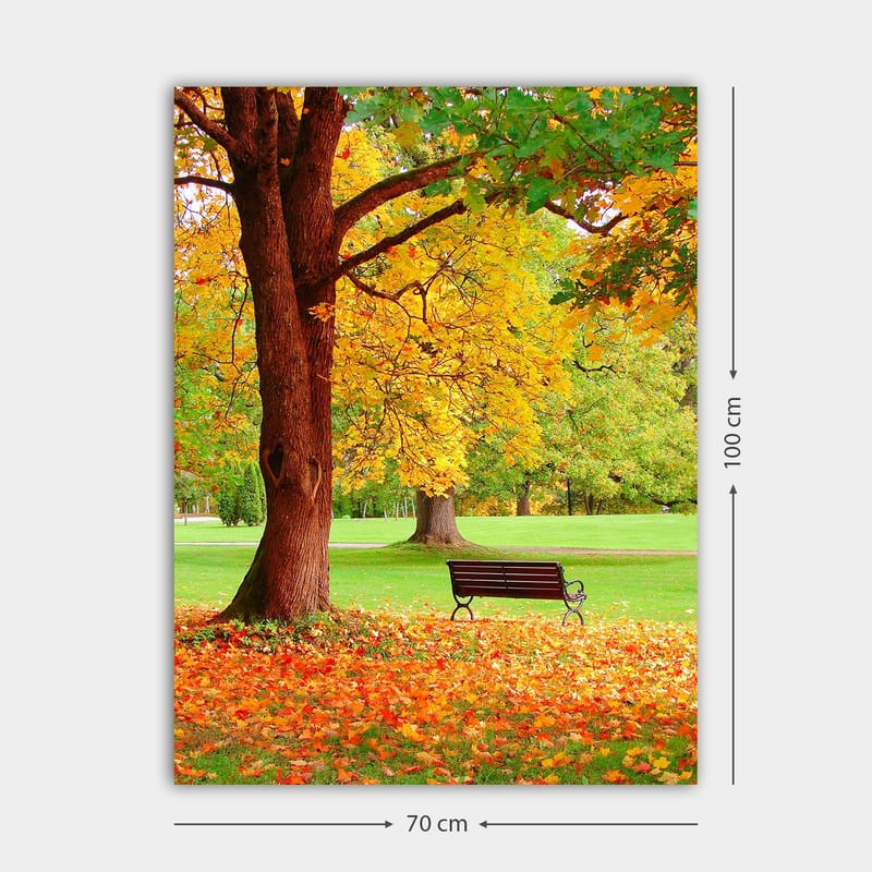 Canvas taulu 70x100 cm - Kaunis syysmaisema penkillä värikkään puun alla - Kullankeltainen / Oranssi / Ruskea - Sisustustuotteet - Taulu & taide - Canvas-taulu