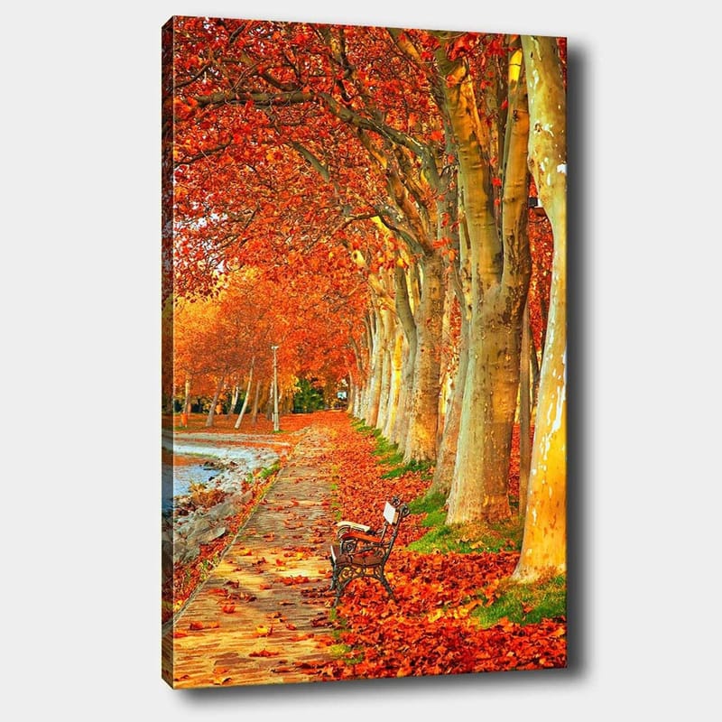 Canvas taulu 70x100 cm - Kaunis syysmaisema penkillä puiden reunustamalla kujalla, jossa on kimaltelevia punaisia ja oransseja lehtiä., Punainen / Oranssi / Keltainen