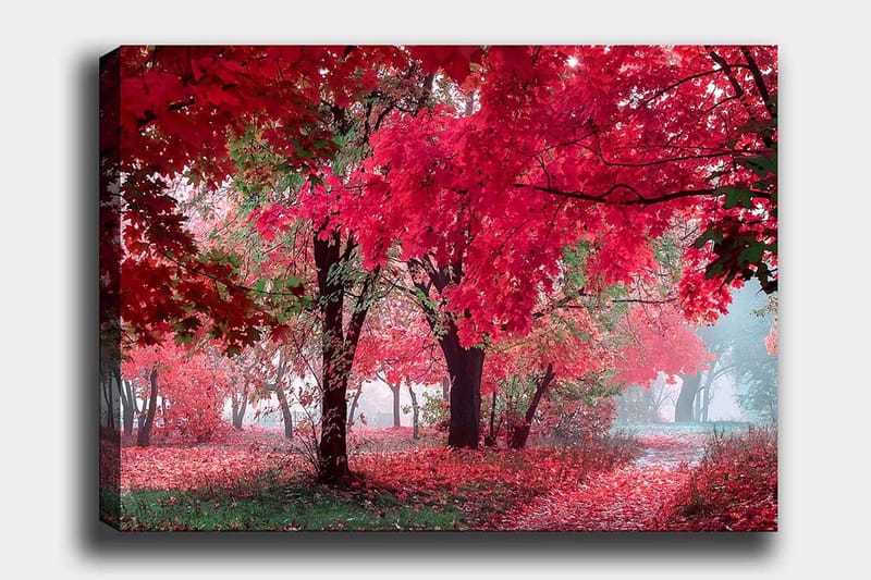 Canvas taulu 70x100 cm - Kaunis syysmaisema punaisilla ja oransseilla lehdillä peittäen puita ja maan, Punainen / Oranssi / Vihreä