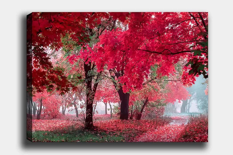 Canvas taulu 70x100 cm - Kaunis syysmaisema punaisilla ja oransseilla lehdillä peittäen puita ja maan, Punainen / Oranssi / Vihreä