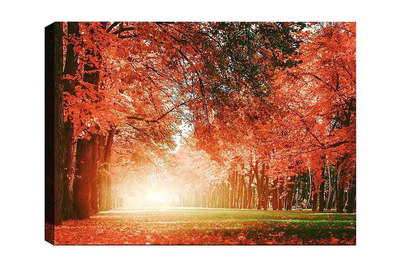 Canvas taulu 70x100 cm - Kaunis syysmetsä kirkkaan oranssin ja punaisen lehdin luodessa lämpimän ja kutsuvan tunnelman, Oranssi / Punainen / Vihreä