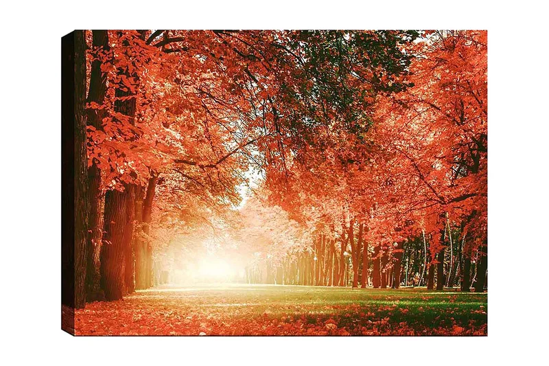 Canvas taulu 70x100 cm - Kaunis syysmetsä kirkkaan oranssin ja punaisen lehdin luodessa lämpimän ja kutsuvan tunnelman, Oranssi / Punainen / Vihreä