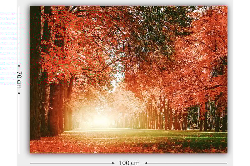 Canvas taulu 70x100 cm - Kaunis syysmetsä kirkkaan oranssin ja punaisen lehdin luodessa lämpimän ja kutsuvan tunnelman - Oranssi / Punainen / Vihreä - Sisustustuotteet - Taulu & taide - Canvas-taulu