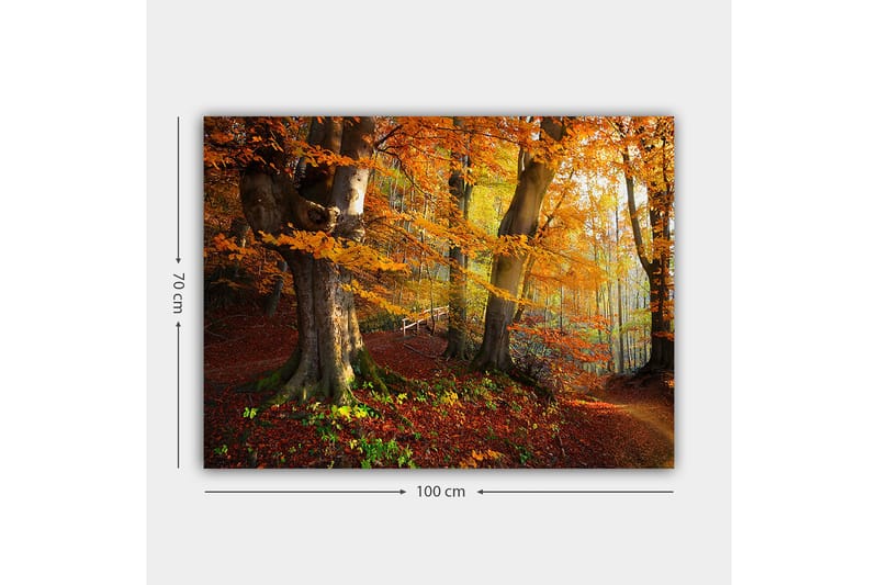 Canvas taulu 70x100 cm - Kaunis syysmetsä värikkäillä puilla ja pudonneilla lehdillä - Oranssi / Punainen / Ruskea - Sisustustuotteet - Taulu & taide - Canvas-taulu