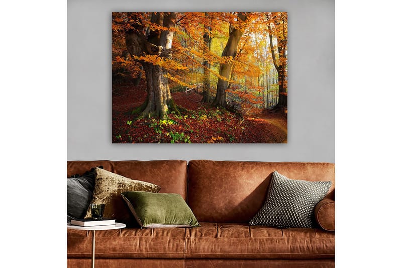 Canvas taulu 70x100 cm - Kaunis syysmetsä värikkäillä puilla ja pudonneilla lehdillä - Oranssi / Punainen / Ruskea - Sisustustuotteet - Taulu & taide - Canvas-taulu