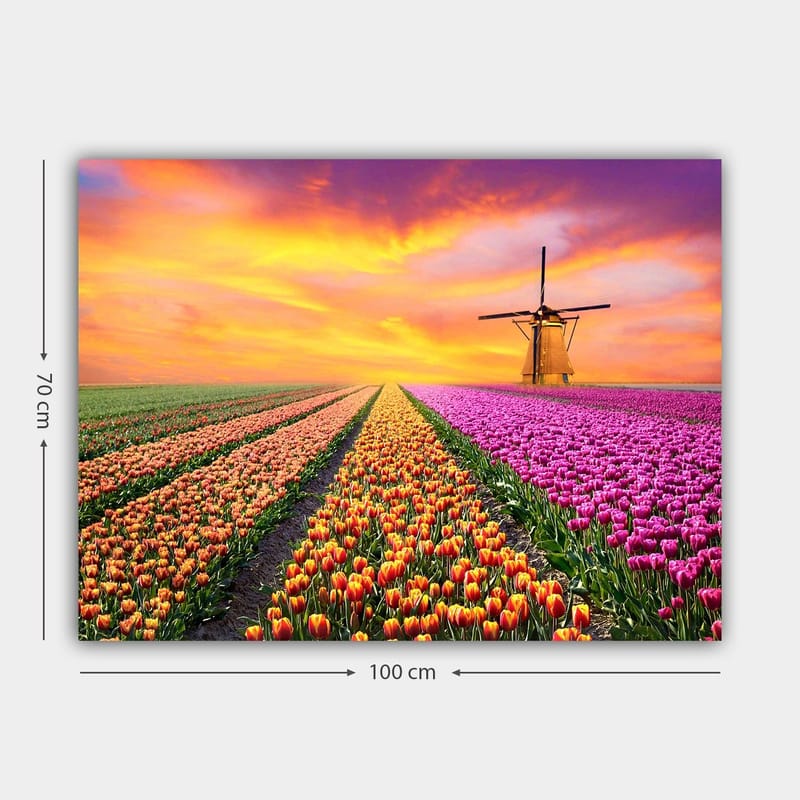 Canvas taulu 70x100 cm - Kaunis tulppaanipelto ja perinteinen tuulimylly auringonlaskun valossa - Violetti / Oranssi / Vihreä - Sisustustuotteet - Taulu & taide - Canvas-taulu