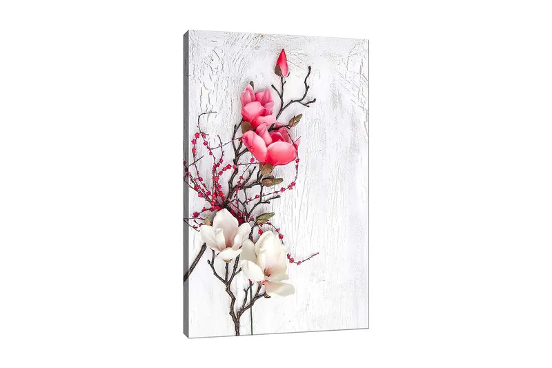 Canvas taulu 70x100 cm - Kaunis vaaleanpunaisten ja valkoisten magnoliankukkien sommitelma hillityllä taustalla, Vaaleanpunainen / Valkoinen / Vihreä