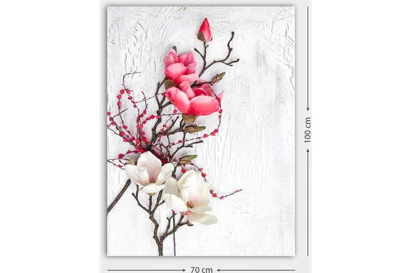 Canvas taulu 70x100 cm - Kaunis vaaleanpunaisten ja valkoisten magnoliankukkien sommitelma hillityllä taustalla - Vaaleanpunainen / Valkoinen / Vihreä - Sisustustuotteet - Taulu & taide - Canvas-taulu
