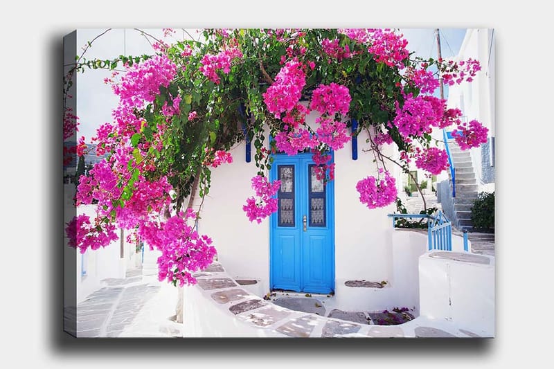 Canvas taulu 70x100 cm - Kaunis valkoinen rakennus sinisellä ovella, jota ympäröivät violetit kukat, Violetti / Sininen / Vihreä