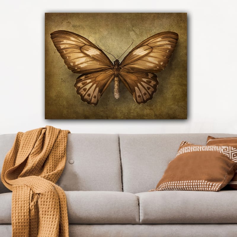 Canvas taulu 70x100 cm - Kaunis perhonen yksityiskohtaisilla siivillä ruskean ja beigen sävyissä - Ruskea / Beige - Sisustustuotteet - Taulu & taide - Canvas-taulu