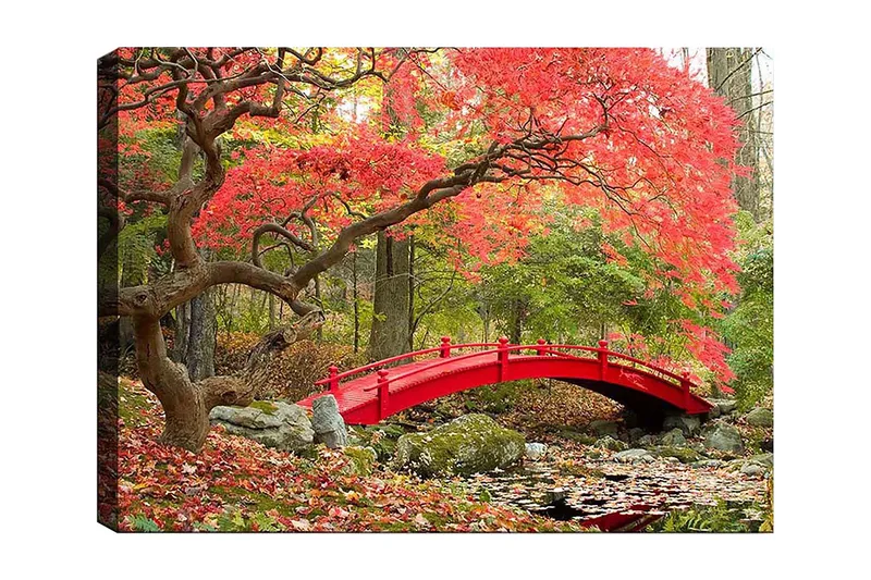 Canvas taulu 70x100 cm - Kaunis punainen silta syksyn väristen puiden ja lehtien ympäröimänä, Punainen / Vihreä / Ruskea