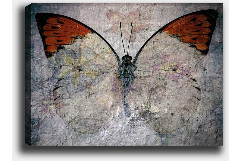 Canvas taulu 70x100 cm - Kaunis perhonen oranssein ja valkoisin siivin, joka korostaa luonnon kauneutta - Oranssi / Valkoinen / Harmaa - Sisustustuotteet - Taulu & taide - Canvas-taulu