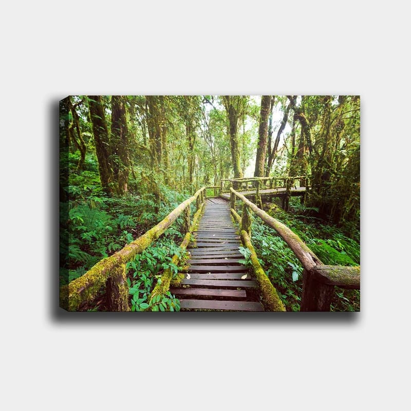 Canvas taulu 70x100 cm - Kaunis puinen silta kiemurtelee rehevän sademetsän läpi, Vihreä / Ruskea / Keltavihreä