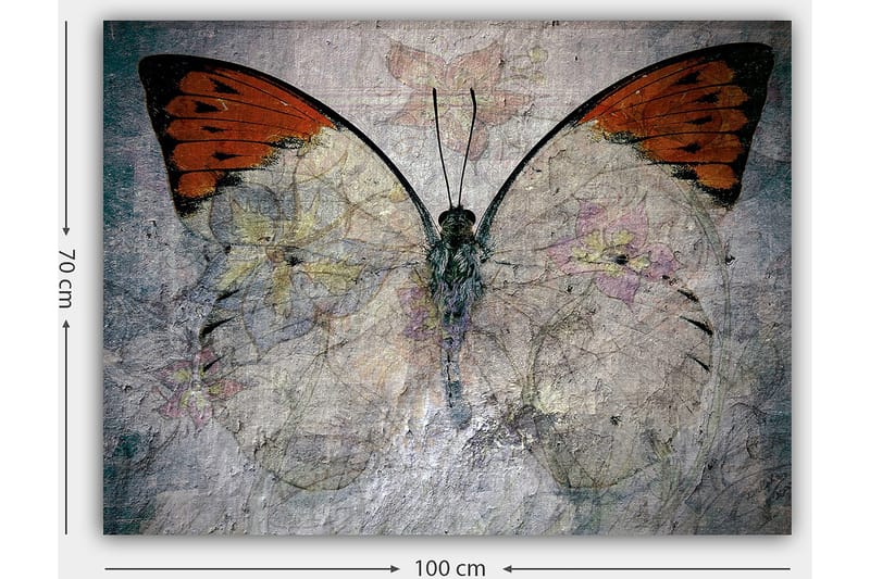 Canvas taulu 70x100 cm - Kaunis perhonen oranssein ja valkoisin siivin, joka korostaa luonnon kauneutta - Oranssi / Valkoinen / Harmaa - Sisustustuotteet - Taulu & taide - Canvas-taulu