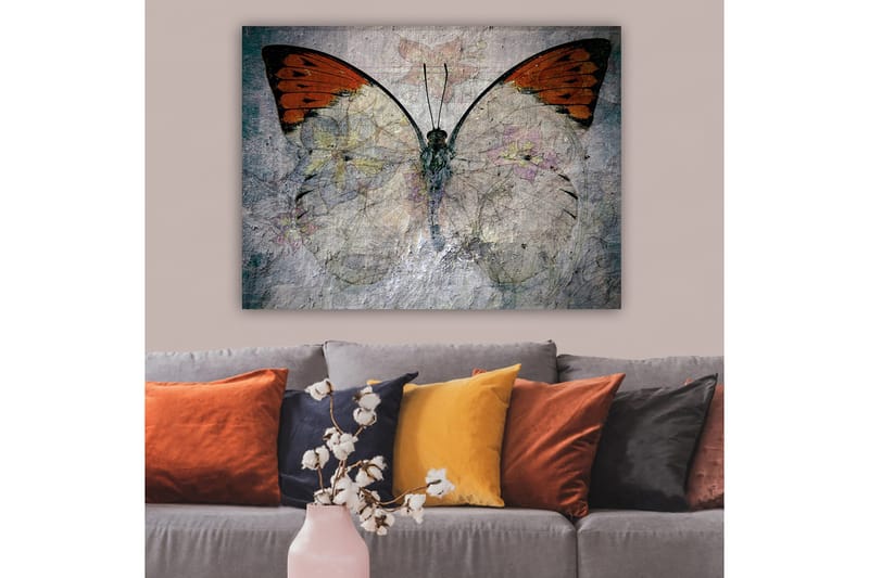 Canvas taulu 70x100 cm - Kaunis perhonen oranssein ja valkoisin siivin, joka korostaa luonnon kauneutta, Oranssi / Valkoinen / Harmaa