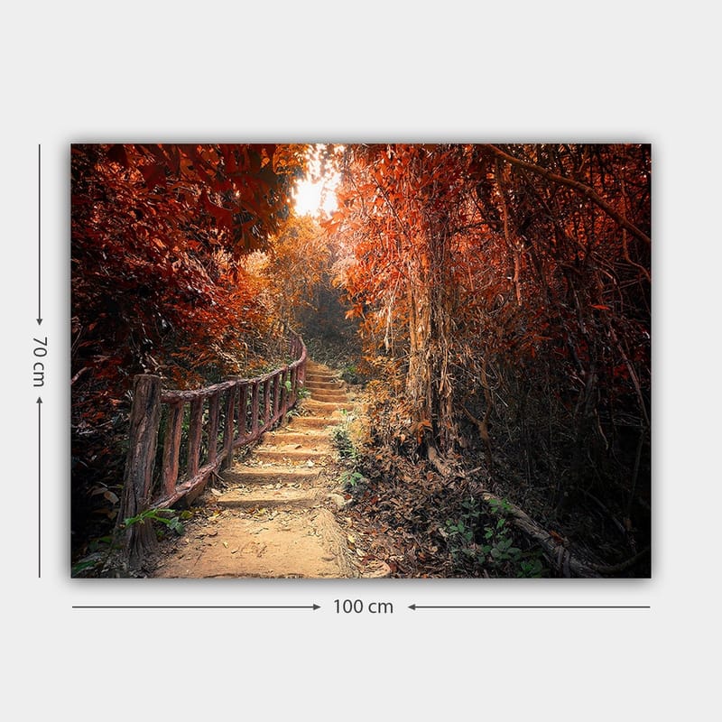 Canvas taulu 70x100 cm - Kaunis polku syksyn värien ympäröimänä metsäympäristössä - Punainen / Oranssi / Ruskea - Sisustustuotteet - Taulu & taide - Canvas-taulu